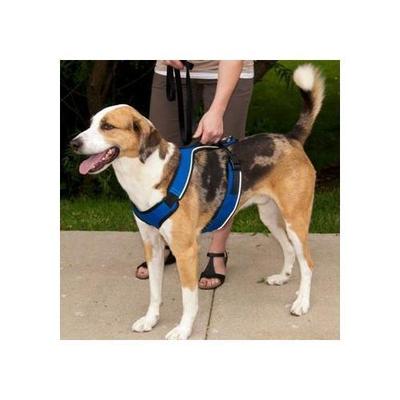 EasySport Dog Harness by PetSafe - Blue - Medium